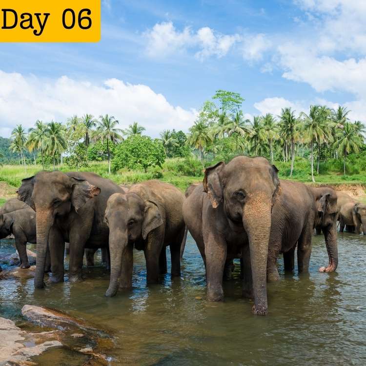 12 DAYS SRI LANKA ADVENTURE