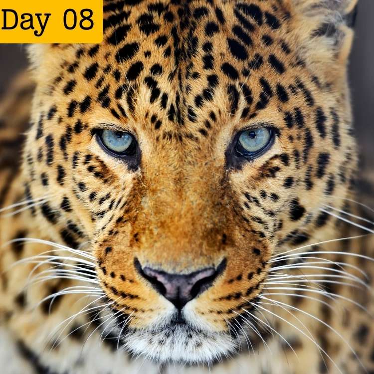 12 DAYS SRI LANKA ADVENTURE