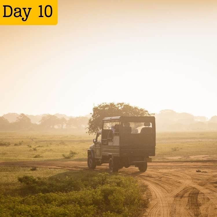 14 DAYS SRI LANKA DISCOVERY LOOP (8)