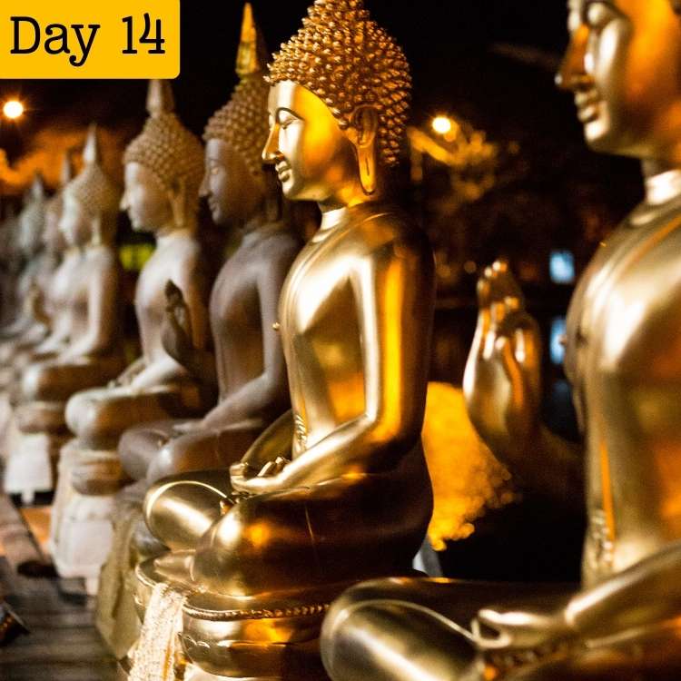 14 DAYS SRI LANKA DISCOVERY LOOP (8)