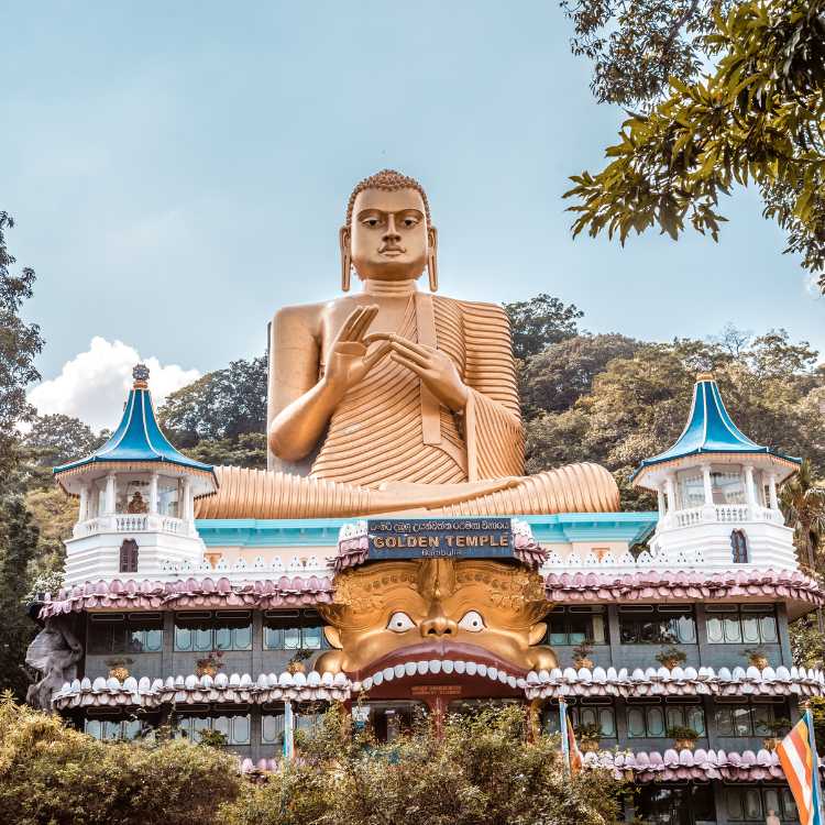 Dambulla Day Tour (2)