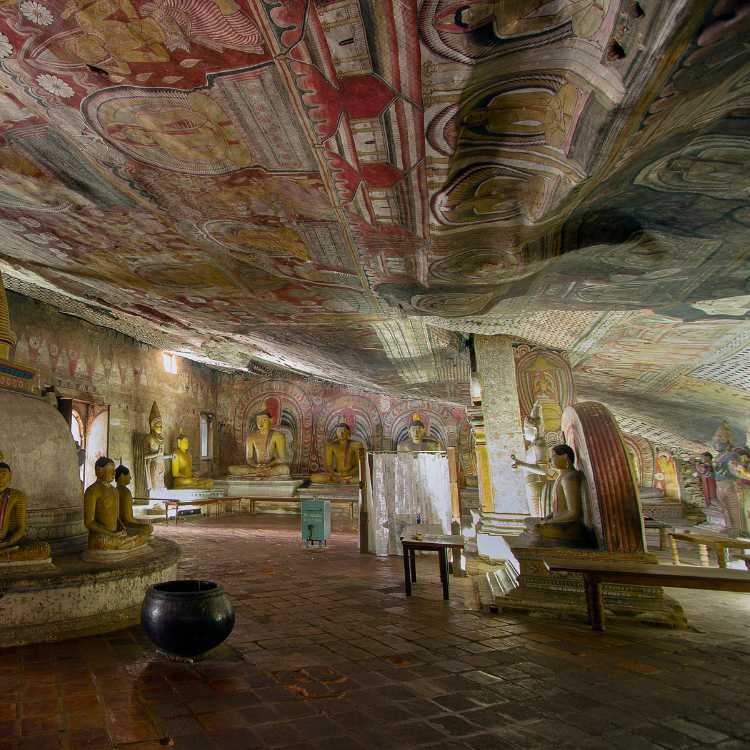 Dambulla Day Tour (3)