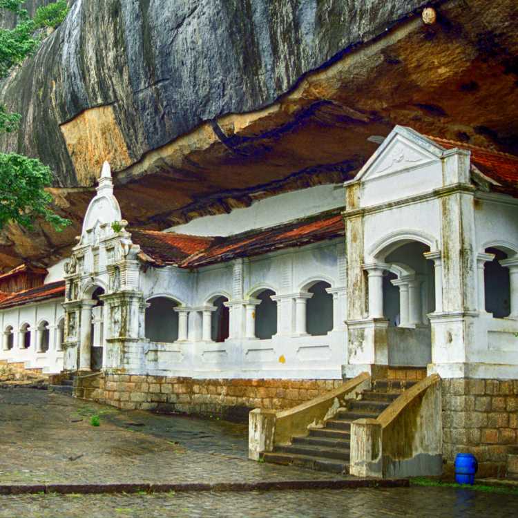 Dambulla Day Tour (4)