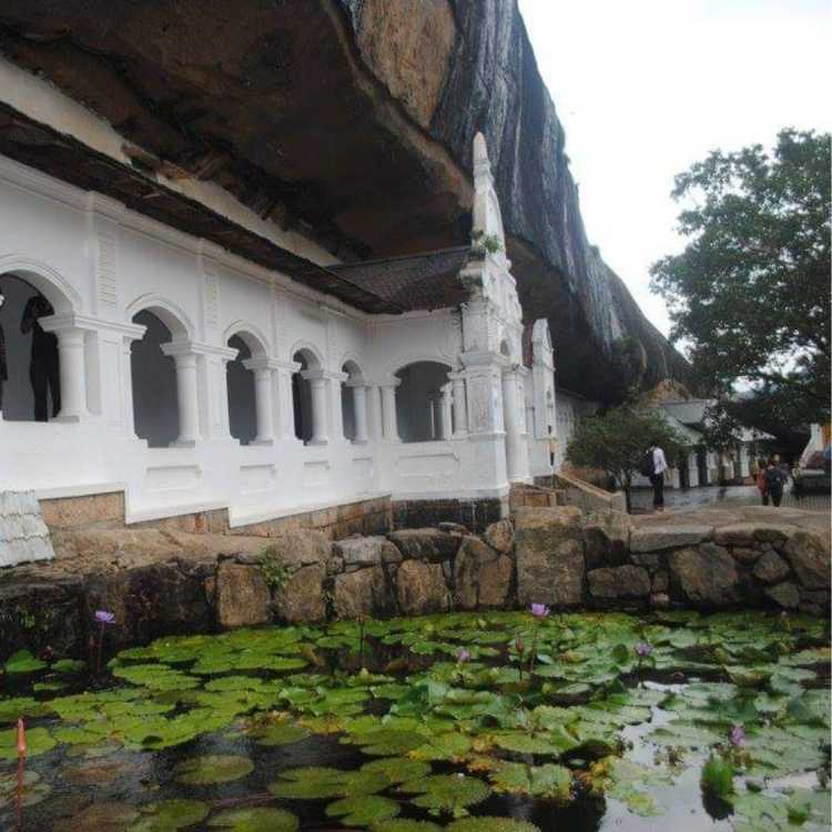 Dambulla Day Tour (5)