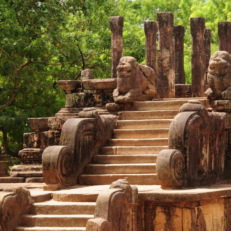 Polonnaruwa Day Tour (2)