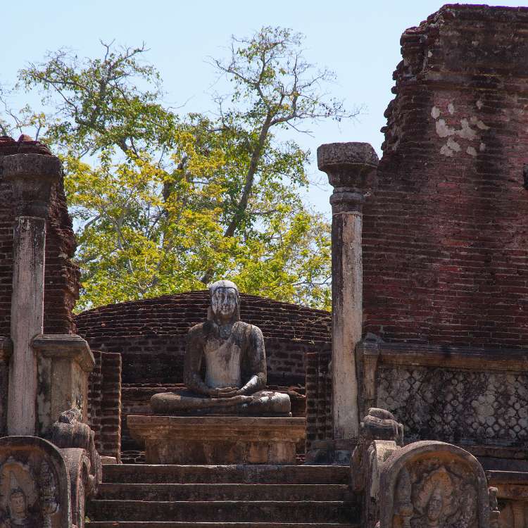 Polonnaruwa Day Tour (3)
