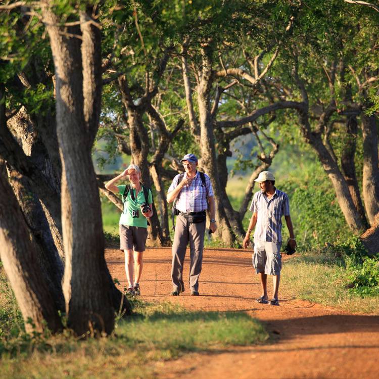 Sigiriya Bird watching