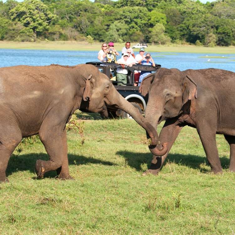 Sigiriya Day Tour (9)
